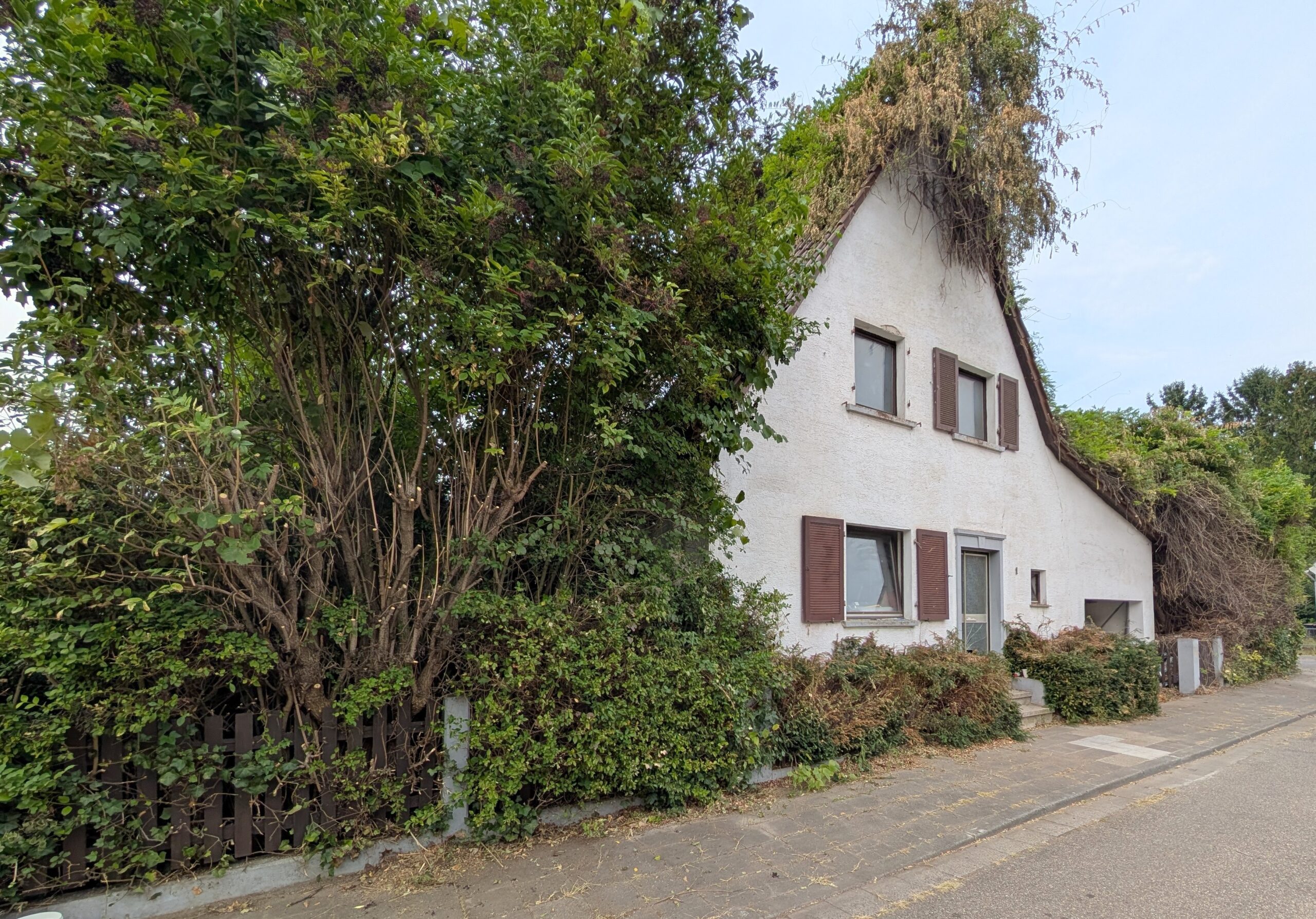 Einfamilienhaus mit großem Grundstück in Toplage von Frankenthal nähe der BASF – Bild 3