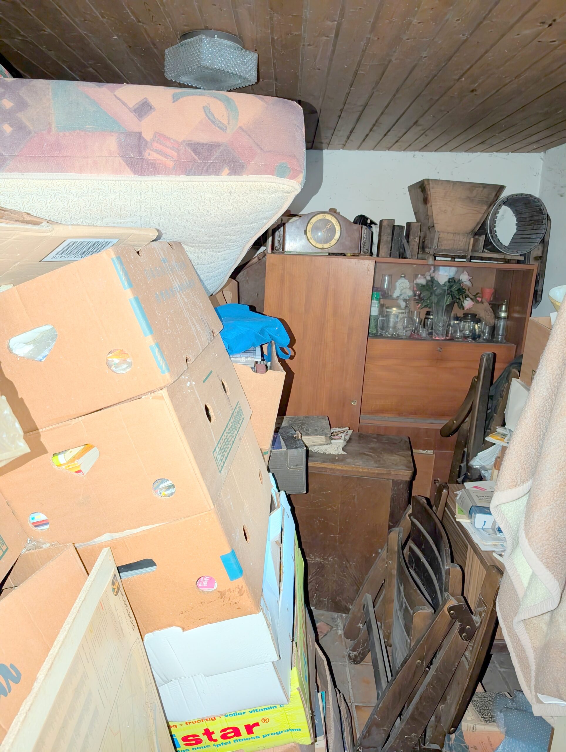 Einfamilienhaus mit großem Grundstück in Toplage von Frankenthal nähe der BASF – Bild 31