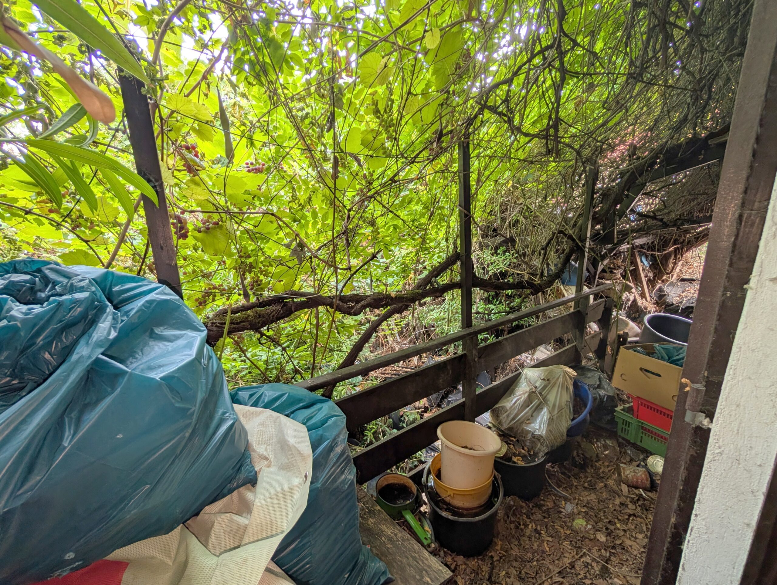 Einfamilienhaus mit großem Grundstück in Toplage von Frankenthal nähe der BASF – Bild 32