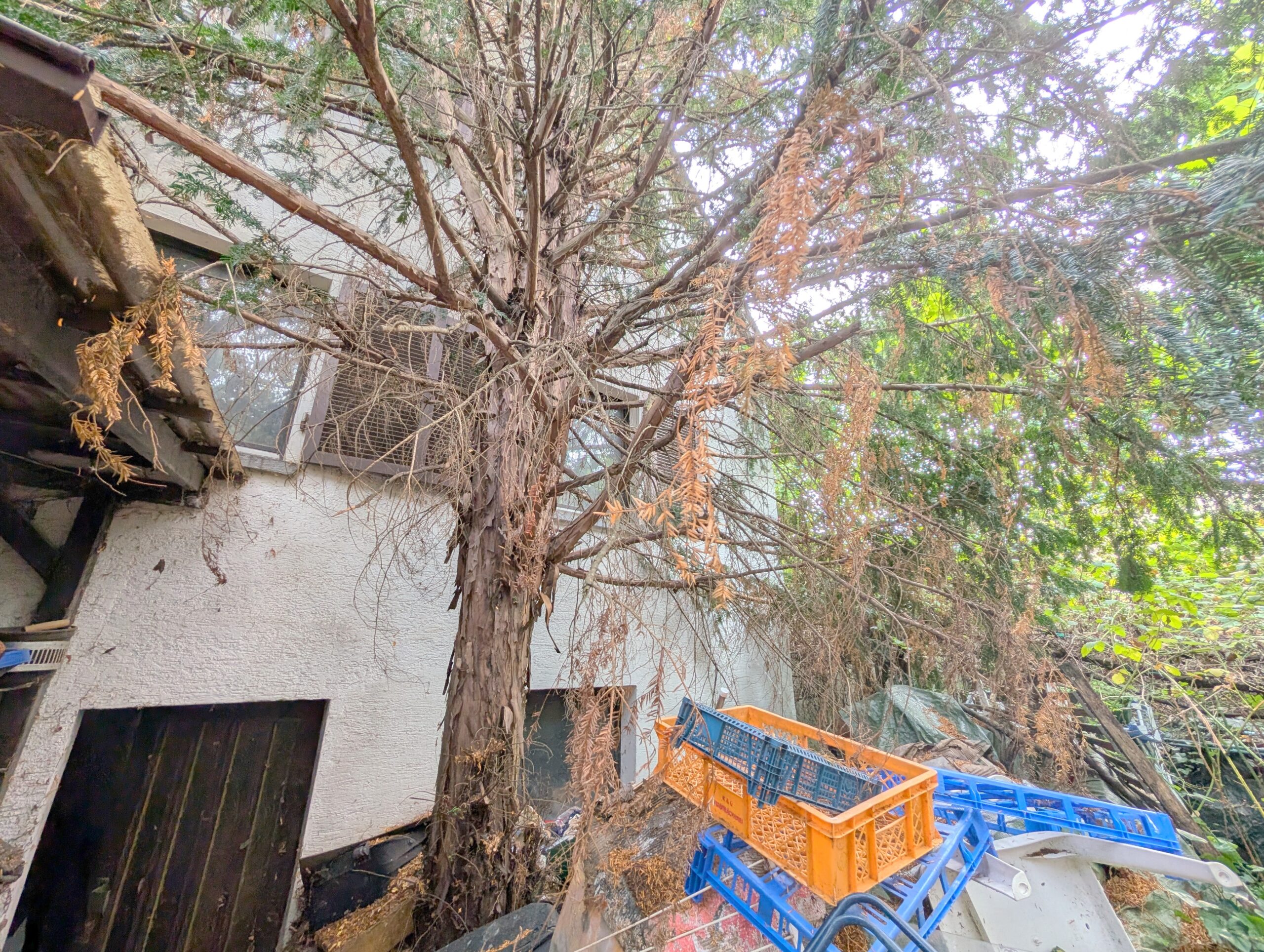 Einfamilienhaus mit großem Grundstück in Toplage von Frankenthal nähe der BASF – Bild 33