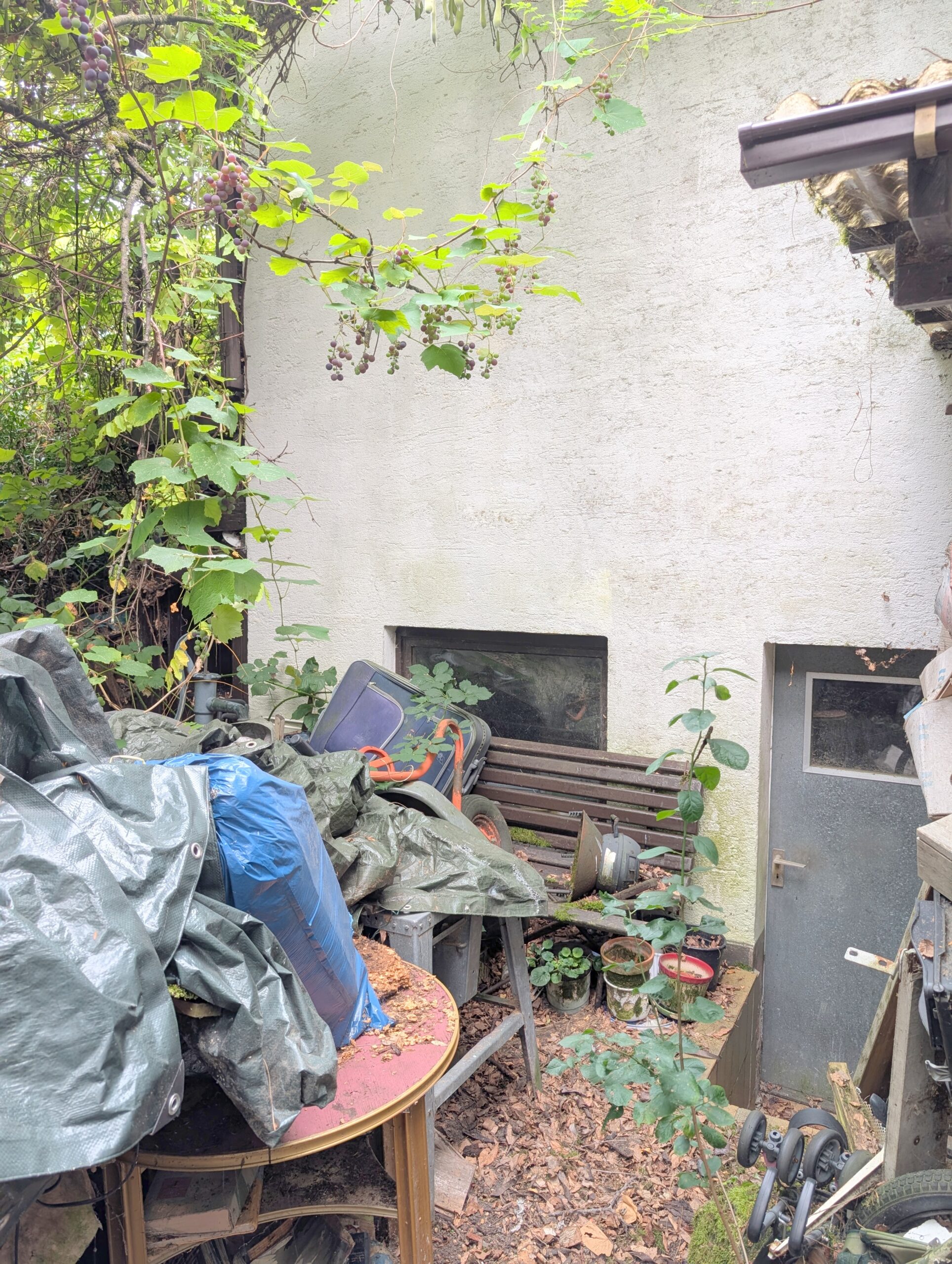 Einfamilienhaus mit großem Grundstück in Toplage von Frankenthal nähe der BASF – Bild 34