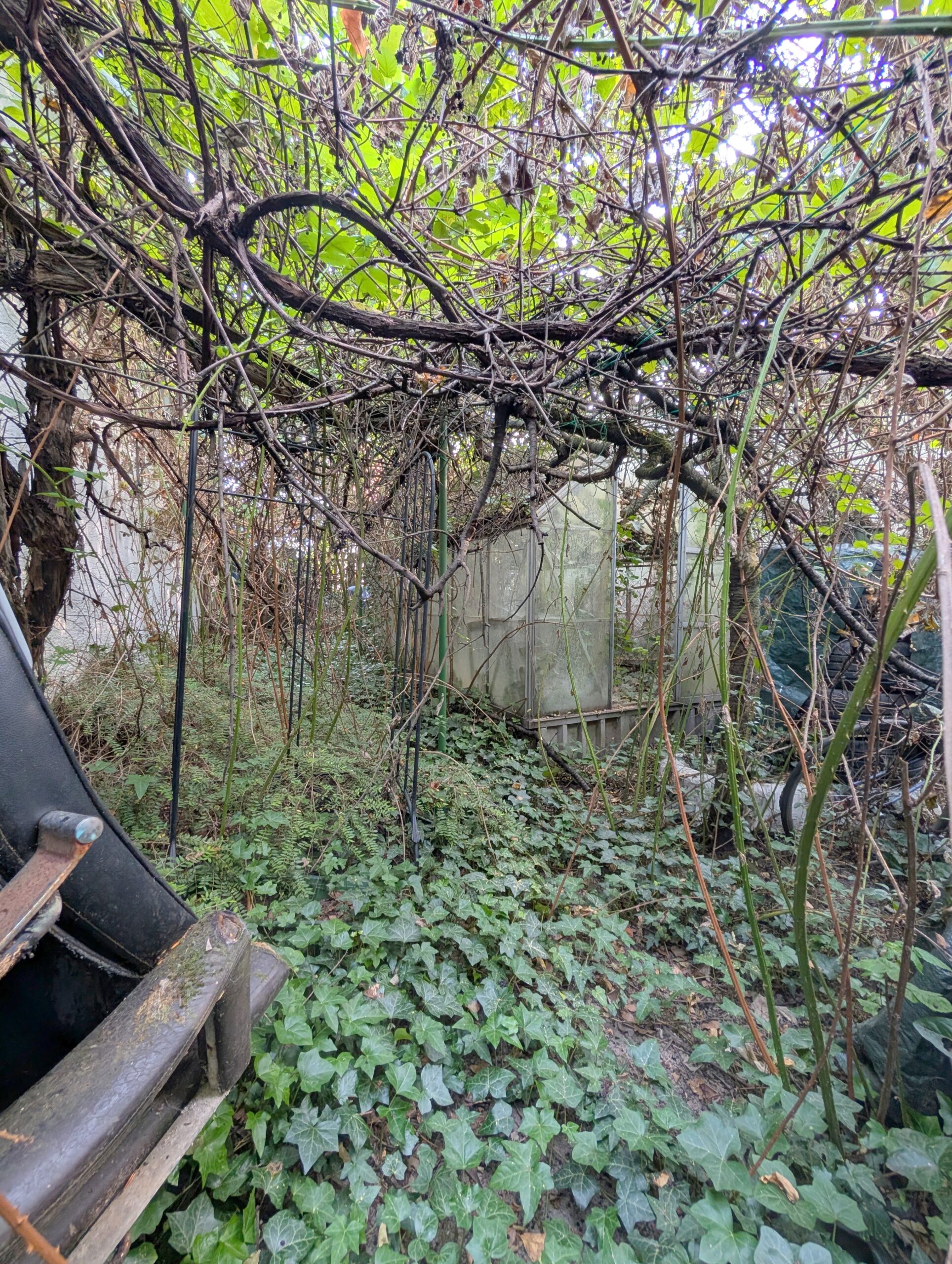 Einfamilienhaus mit großem Grundstück in Toplage von Frankenthal nähe der BASF – Bild 36